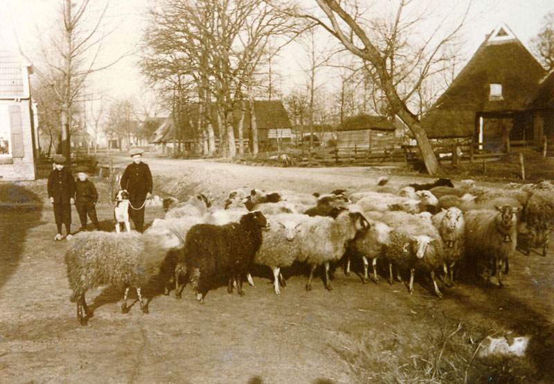 Bruntingerweg 1910 Web